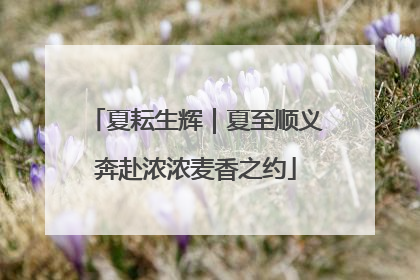 夏耘生辉｜夏至顺义奔赴浓浓麦香之约